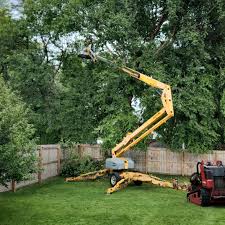 Lawn Watering Services in Escalon, CA
